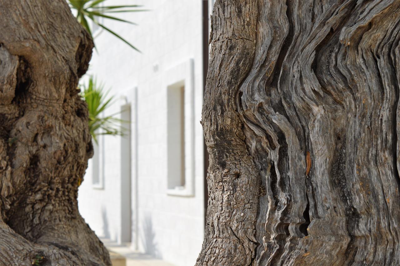 Masseria Torrepietra โมโนโปลี ภายนอก รูปภาพ