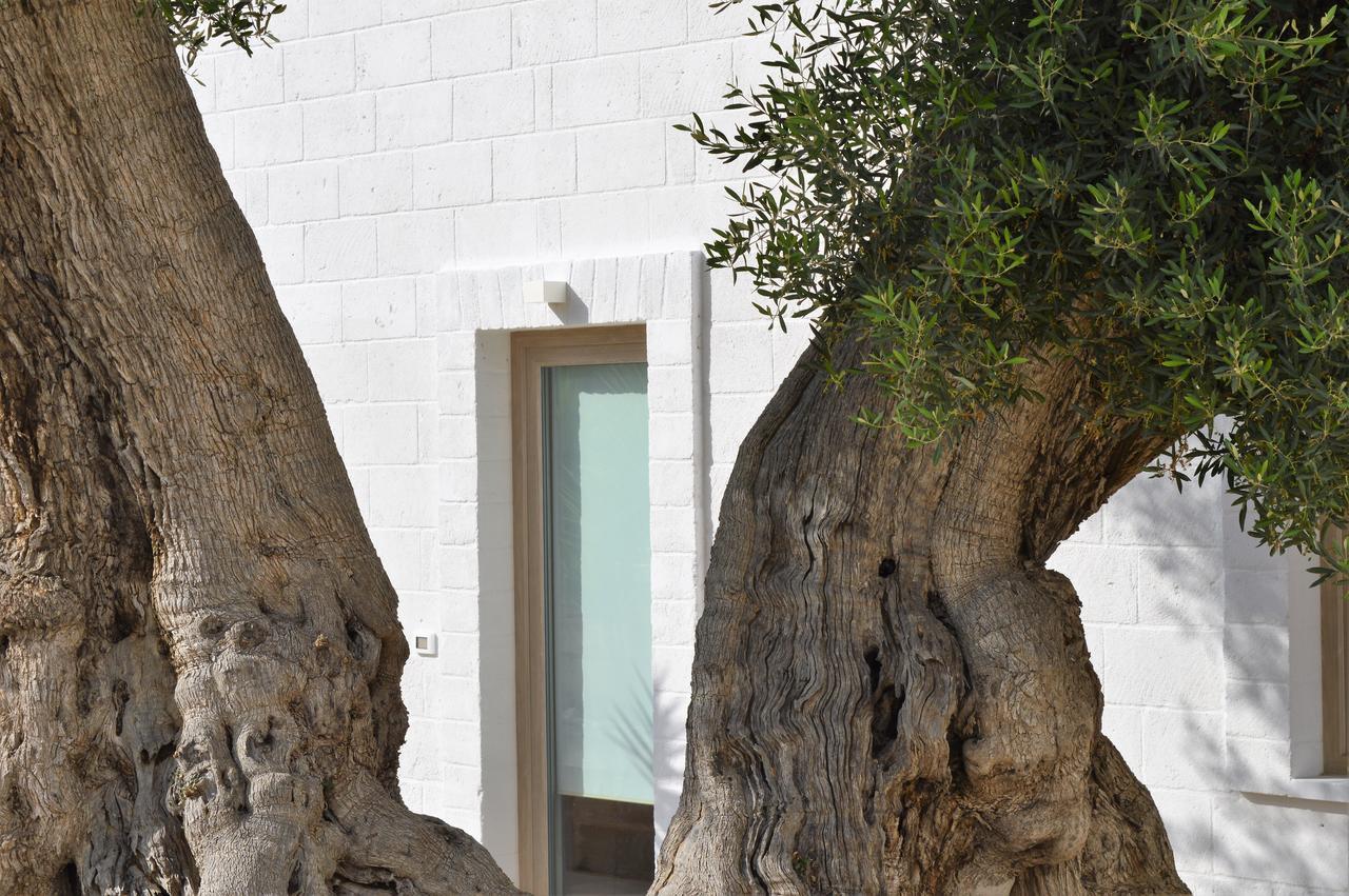 Masseria Torrepietra โมโนโปลี ภายนอก รูปภาพ